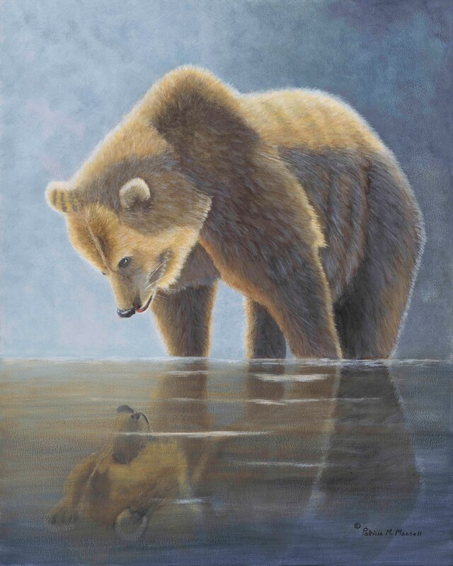 Grizzly Bear, bear, water scene, reflection,