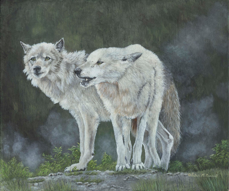 Grey Wolf, wolves, forest scene, howling,