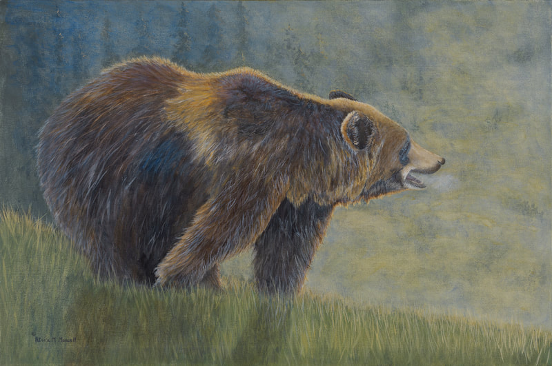 Grizzly Bear, bear, mountain scene, bear huffing,