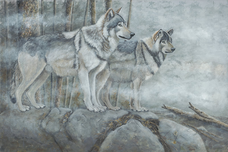 wolves, wolf, grey wolf, animals, wildlife, north american wildlife, forest mist scene,