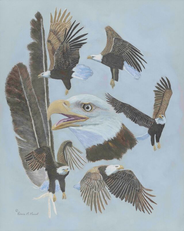 bald eagles, eagle, birds, birds of prey, animals, wildlife, north american wildlife, 