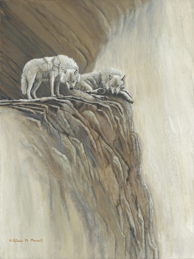 Arctic wolves, wolves, wolf, perched on ledge,