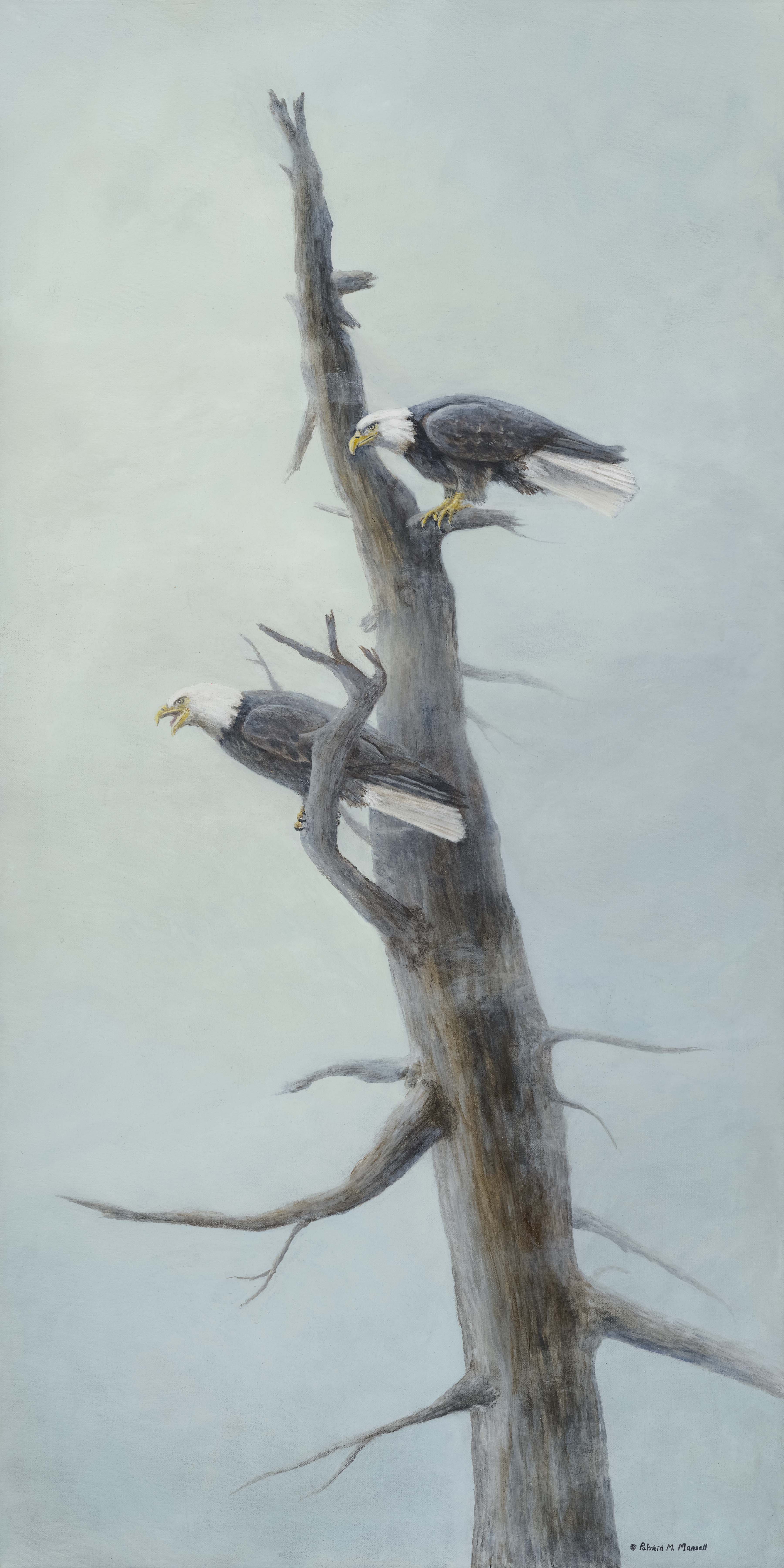Bald Eagles, eagles, perched in tree, background of sky, misted out
